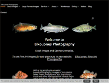 Tablet Screenshot of eikojonesphotography.com